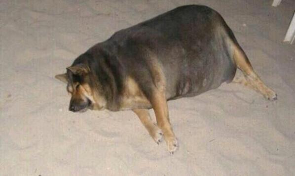 Girlfriend_Post's tweet photo. Mood: http://t.co/vnkujQ2PoP