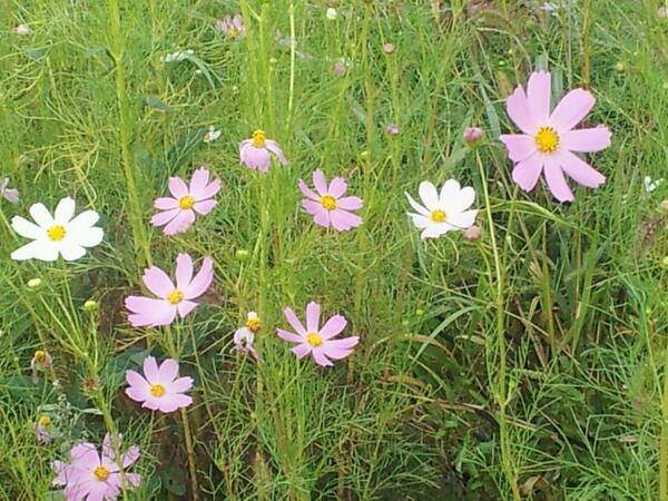 dmsgp930's tweet image. 