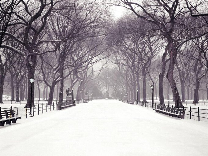 Breathtaking...  ♥  #CentralPark #NewYork #USA http://t.co/vwIZaUxOZF