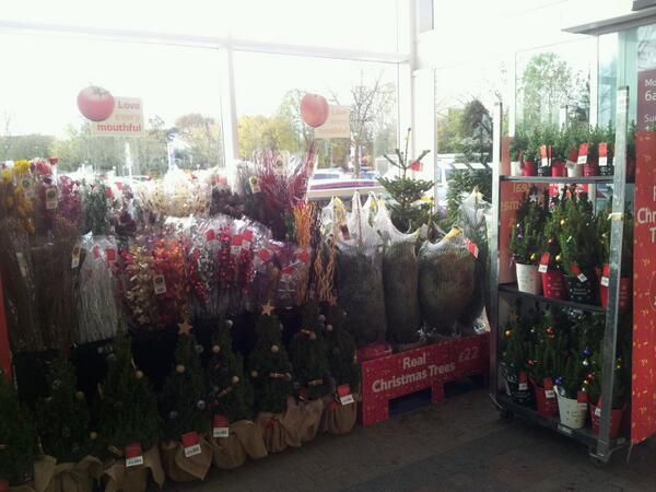 Colour @ Clevedon. Festive foyer,  christmas here we come! <a href="/mikerw987/">Mike Wheatley</a> <a href="/Missiyt/">Michelle White</a>