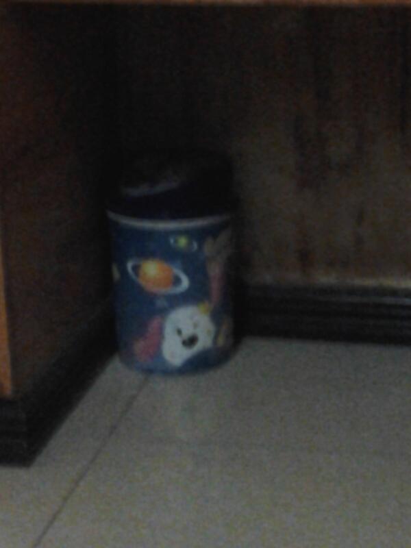 BelluzR's tweet image. The trash can was so cute! #somethingrandom