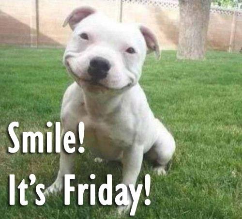 TradefixDirect's tweet photo. Smile, it's #Friday! http://t.co/R5egPkoAxe