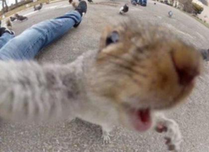 SELFIEEE time >> It's #Friday!! Bring it!! http://t.co/UqpZ2hEWaF<a href="/tag/friday"class="tags">#Friday</a>