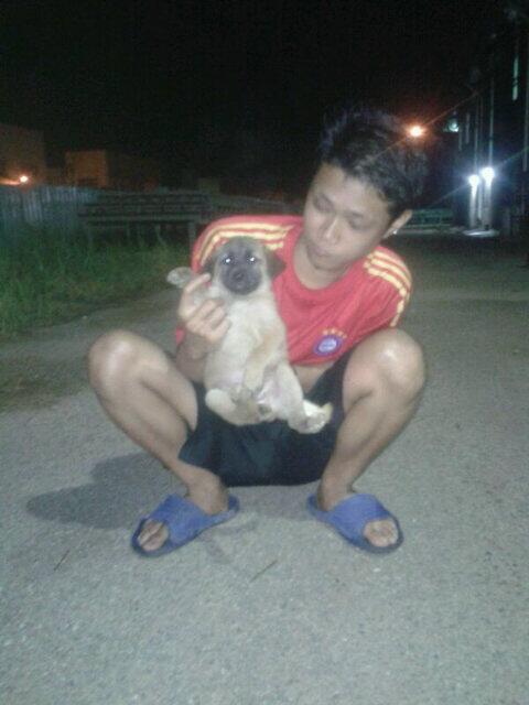 Koko_sipit's tweet photo. Anjing baru..:) http://t.co/GDdLJ0cSWS