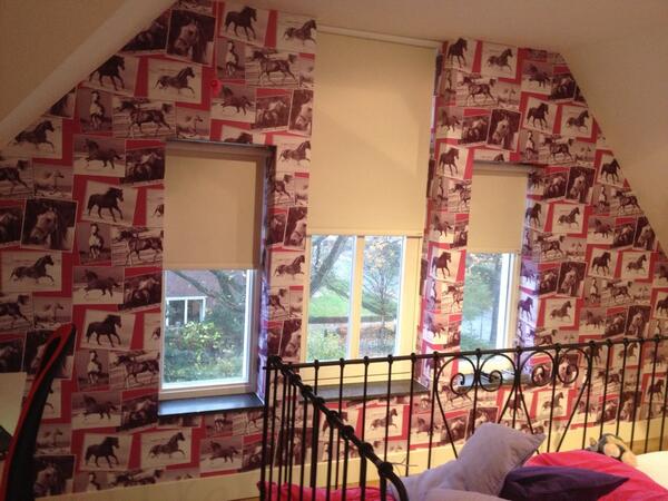 behangster's tweet photo. Meidenkamer met #paarden behang http://t.co/7dbFqAJTMB
