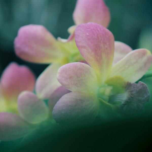 Dwiki Widyanugraha (@dwidyanugraha) on Twitter photo 