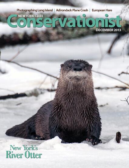 50% off one-year subscriptions to Conservationist Magazine, 11/29-12/2: bit.ly/1drUcsz. (via <a href="/NYS_DEC/">DEC has moved</a>)