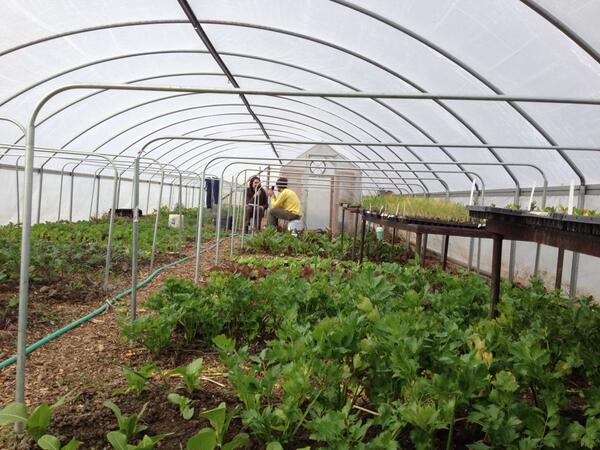 FortWayneSpeaks's tweet photo. When it's grizzly out, @AtomAcres keeps the veggies coming year round. A #fortwayne story. http://t.co/KxSZq1XXzZ http://t.co/u6VCh2mIhD