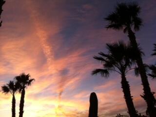 LittleEngineRec's tweet image. Lovely