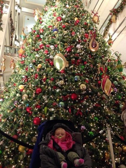 DOMINOSMASTER's tweet photo. Hannibal lecture in front of tree http://t.co/uTNTYx06Uo