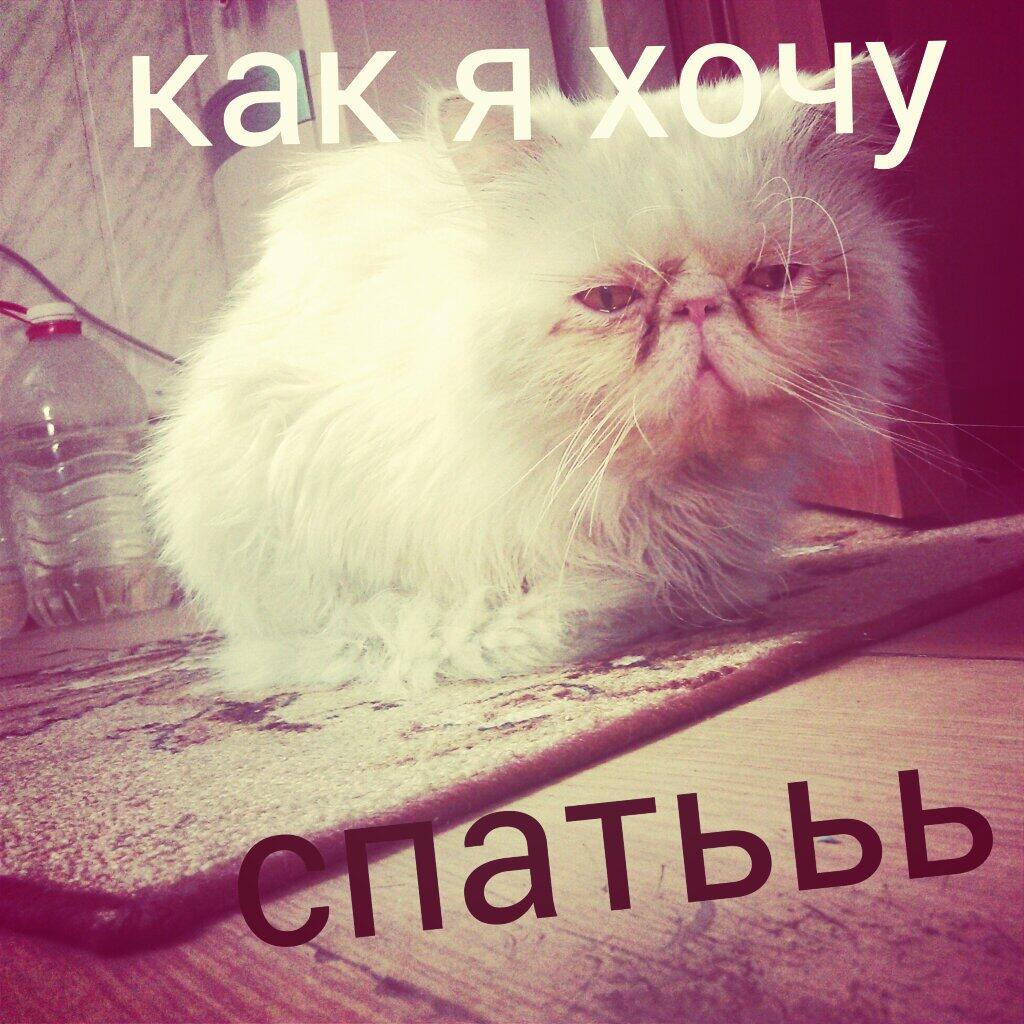 Открытки хочется спать, днем рождения
