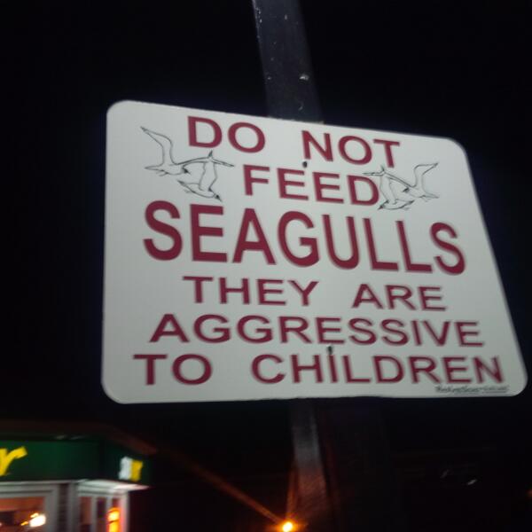 neverestmusic's tweet image. #RandomSigns #NotInKansasAnymore #WTF LMAO