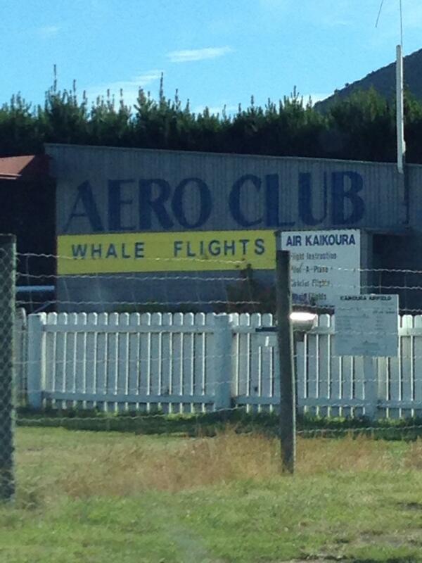 Goodwin_NZ's tweet image. Just found out how Gerry Brownlie has been getting round! #detectivedan