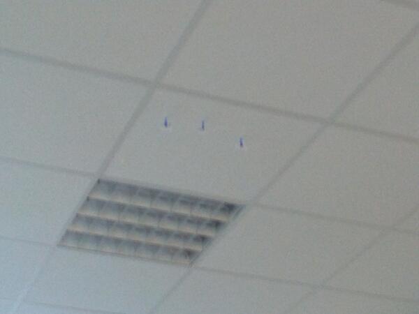 Flying Dutch tweet media