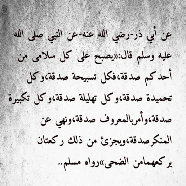 أنوارالمدينة tweet media