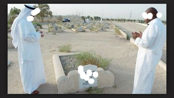 MohamadAlarefe tweet picture