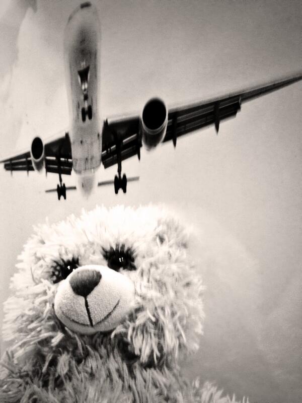 Andrew Martin Weber Flattcharlotte Twitter