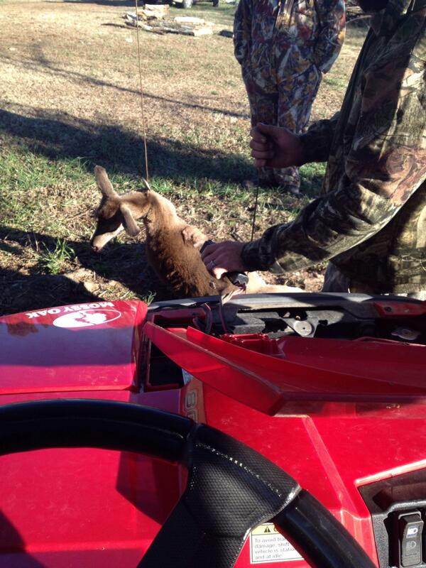 Alabama_mud's tweet photo. Using the ranger winch to skin it haha http://t.co/2d2v4TmWHI