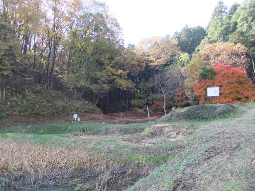 栃木の渓流釣りガイド 栃木の渓流釣りガイド ミヤコタナゴの生息地 矢板市山田地区を見学 の記事を更新しました 国の天然記念物に指定されているミヤコタナゴが生息しているため池に行ってきました Http T Co 3nutqktkxk Http T Co Wn9qoyfafg