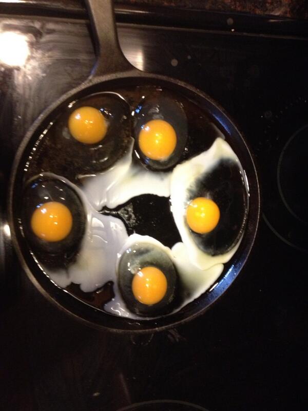 thadtuttle's tweet image. Love fresh eggs!  2 were still warm when I collected them. No comparison to store bought eggs #perfectfood