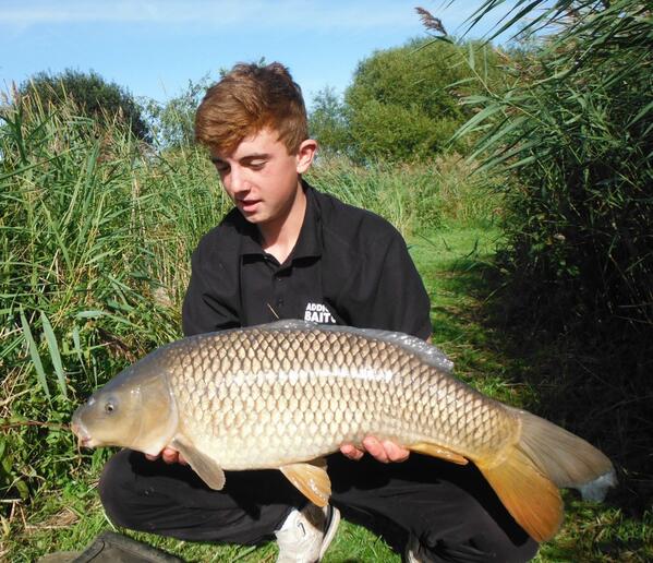 AddictiveBait's tweet image. 