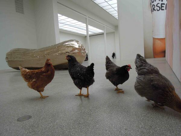 CFA_Berlin's tweet photo. NOB + Gelatin Wiener Secession  
Photo: Olivia Reither http://t.co/hkdw7wK8Ah