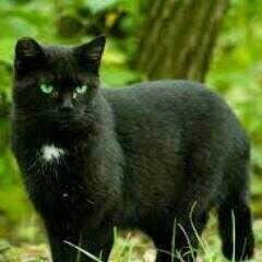 PoppyStormDF's tweet image. 