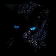 PoppyStormDF's tweet image. *Looks around*