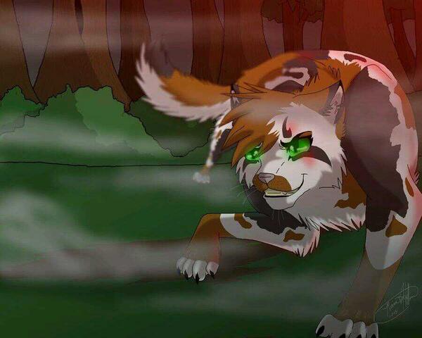 PoppyStormDF's tweet image. 