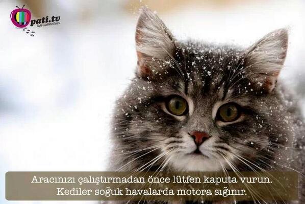 İÜ Rehberlik Birimi (@iu_rehberlik) on Twitter photo 