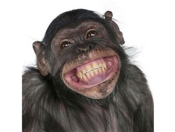 macie_rae_allen's tweet image. My one and only facial expression... #faceproblems