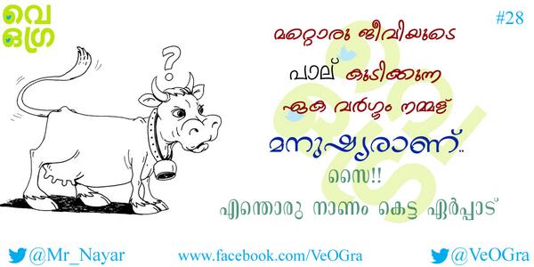 VeOGra's tweet photo. 28: മറ്റൊരു ജീവിയുടെ പാല് കുടിക്കുന്ന ഏക വ൪ഗ്ഗം നമ്മള് മനുഷ്യരാണ്.. സൈ!! എന്തൊരു നാണം  #VeOGra @Mr_Nayar http://t.co/6KEaSbxeOA
