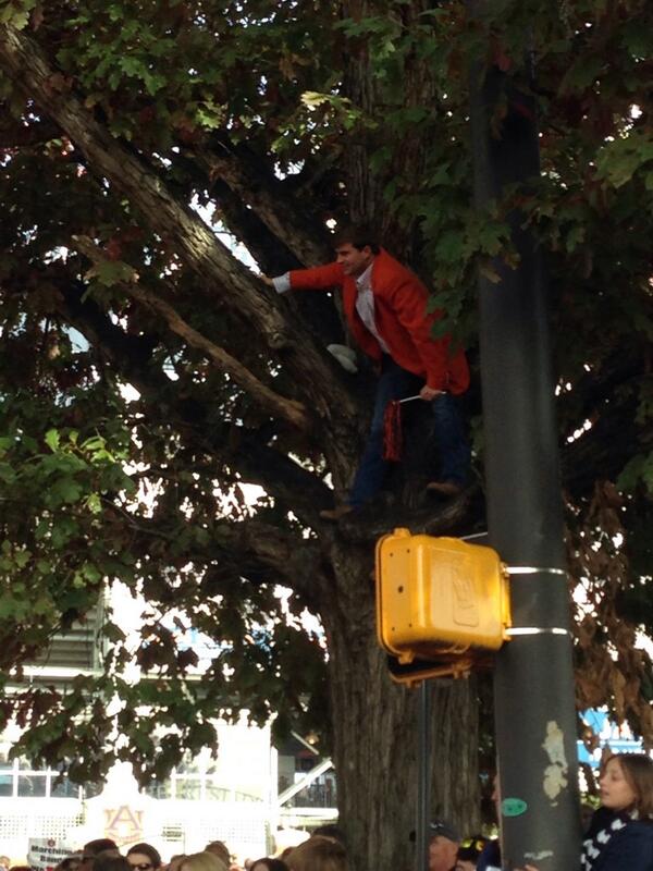 LaurenCarter27's tweet image. This guy &amp;gt;&amp;gt;&amp;gt; #WARDAMN #treeboy