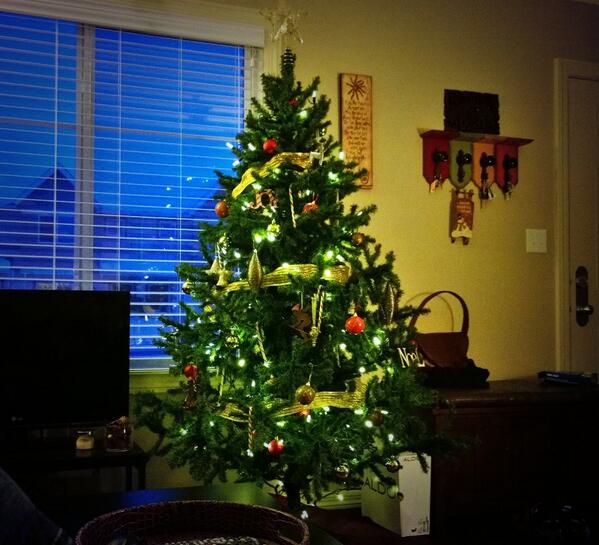 KevinvanPopta's tweet photo. The tree is up! First place finish? #falsestart #itsnotevendecemberyet http://t.co/jJYqju99Yy