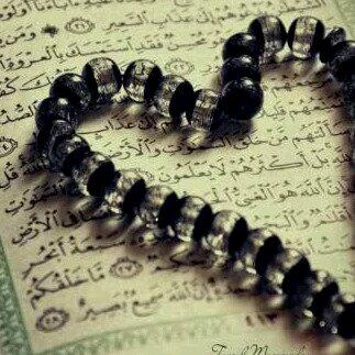 ILoveIslamHD's tweet photo. I♥Koran. De Koran maakt mij gelukkig. De Koran helpt mij. De Koran geeft mij rust. Alhamdulillah.♥ #Islam http://t.co/oCpZU6r6XV