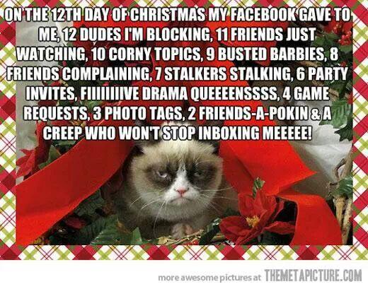 yonah eveline on twitter quot the grumpy cats 12 days of grumpy cat christmas song
