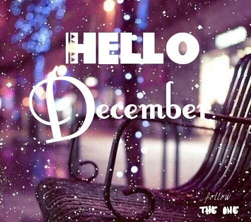 modefoto's tweet image. December, be wonderful