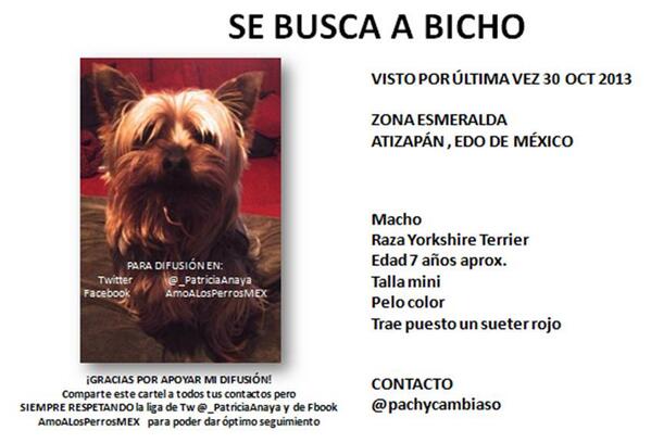 #SOS BICHO SE PERDIÓ HOY 30NOV #ZonaEsmeralda  <a href="/lezorrillo/">Lorena</a> <a href="/PachyCambiaso/">Pachy</a> RT @Via_Satelite <a href="/SoyNaucalpan/">Soy Naucalpan</a> <a href="/AtizapanZ/">Atizapán de Zaragoza</a>