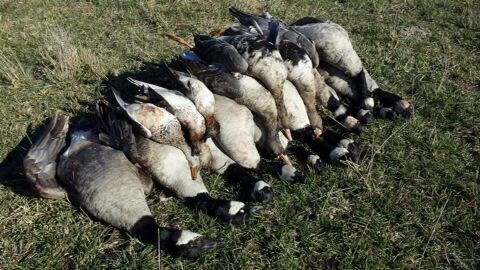 Day 2 of testing the new 2014 Greaters and Sleeper shells in Kansas today