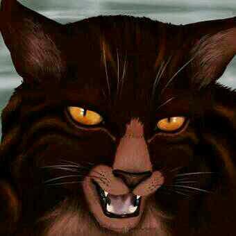 Windy_Russet's tweet photo. @Tigerstar_ @Thistle_clawed *tenses and unsheathes claws* http://t.co/NqNr7t2zMg