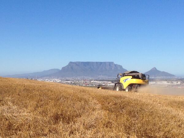 Wat wil jy meer hê.