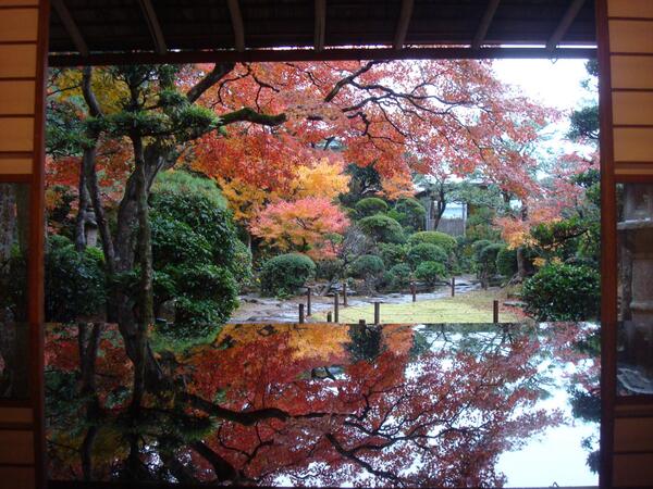 Saori Furuta 長崎市片淵の紅葉の名所 長崎市史跡 心田庵 今年ももみじ狩りしてきました とても美しい 逆さ紅葉 に絶句です 建物もお庭も立派でまるでタイムトリップしている気分です 時代や周りは変わってもずーーっと同じ場所に佇む 心田庵は