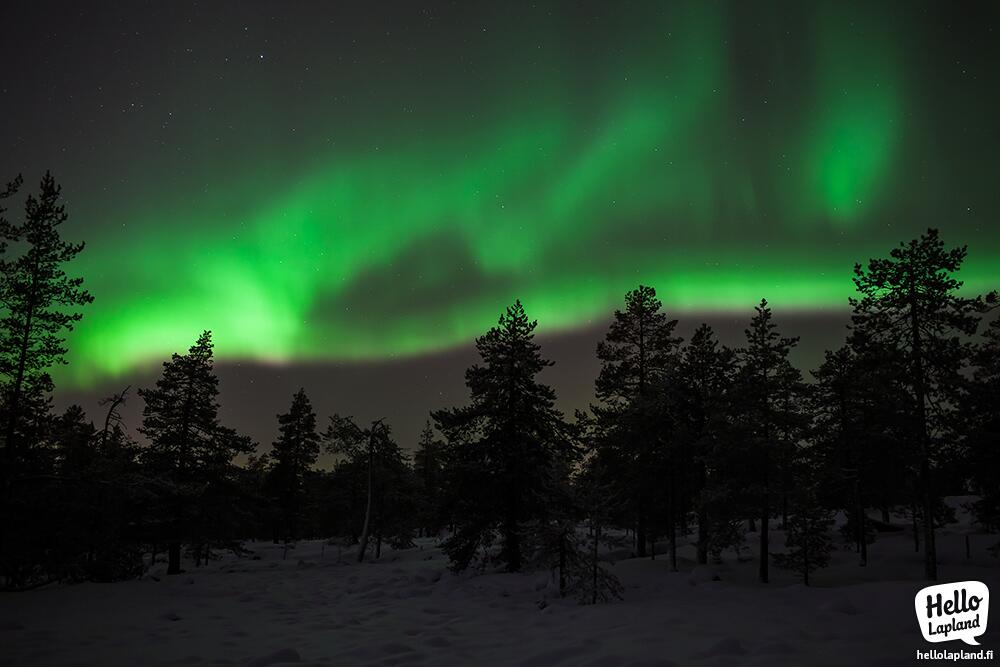 aurora borealis, hello lapland, Lapland, Finland, Northern lights