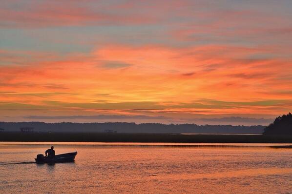 CallieCliatt's tweet image. Incredible pic taken in Savannah #Gorgeous #Coast #MissingThisView