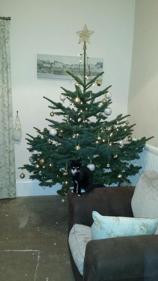 DaviesSerian's tweet image. @vouchercodesuk #VCAdvent #VCAdvent #win