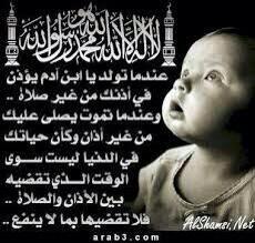 ابو ياسر tweet media