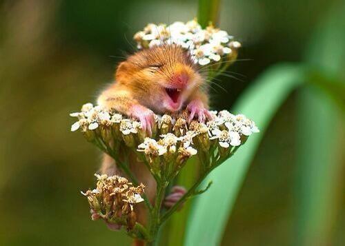 Paisajes_Es's tweet photo. Don't worry, be happy. http://t.co/361dftPBFi