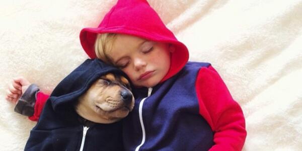HuffPost's tweet photo. .@mommasgonecity shares new chapters in the most adorable naptime love story ever http://t.co/8x4fP5TKTs http://t.co/cQJi38HZNm