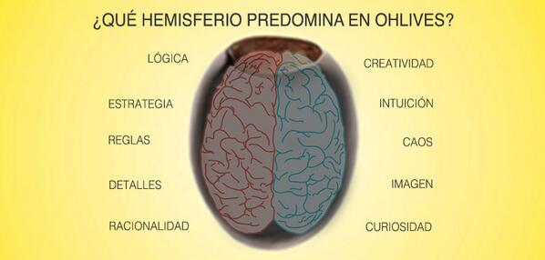 live4OHLIVES's tweet photo. Y en vosotros ¿que hemisferio predomina? http://t.co/KiRGoWptuO