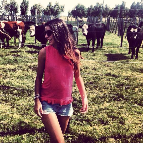 titipuertolas's tweet photo. Reunión familiar!!! jajajajajaa   #lesvaques #family 🐮🐮 http://t.co/oL3FVpM5Vr